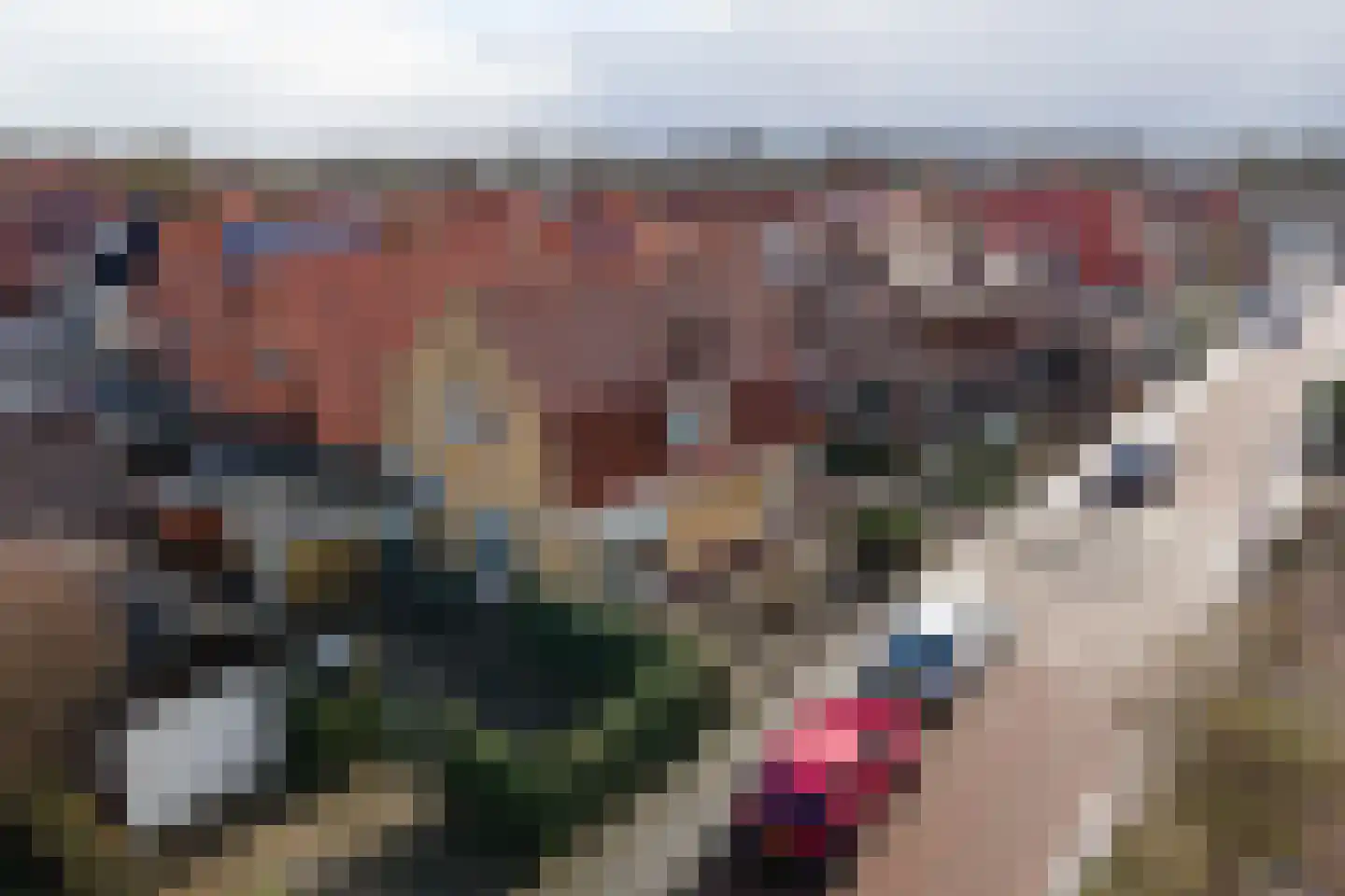 Bote à Bolswertstraat 2 Bolsward thumbnail 6