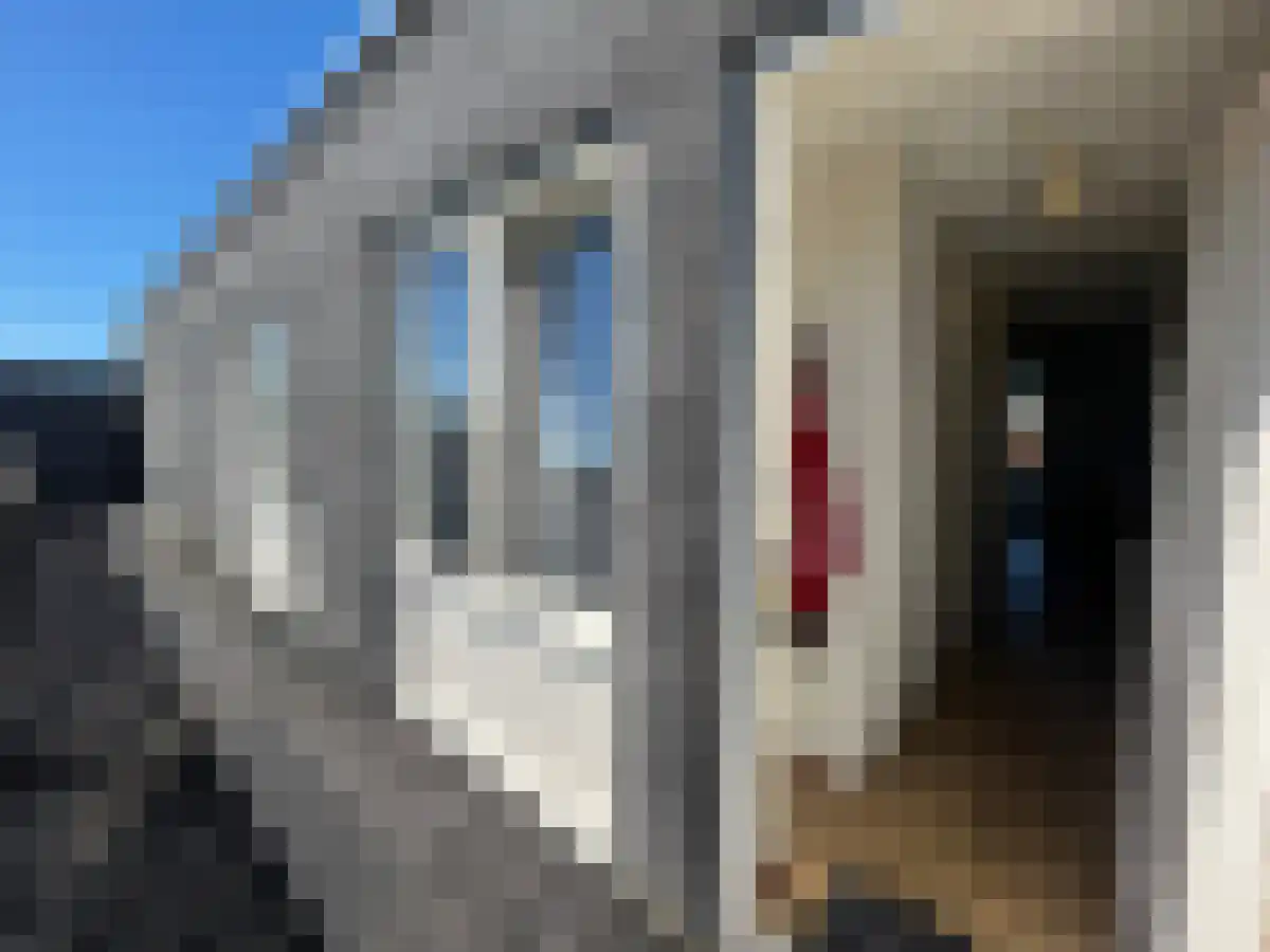 Bote van Bolswertstraat 3 Leeuwarden thumbnail 5