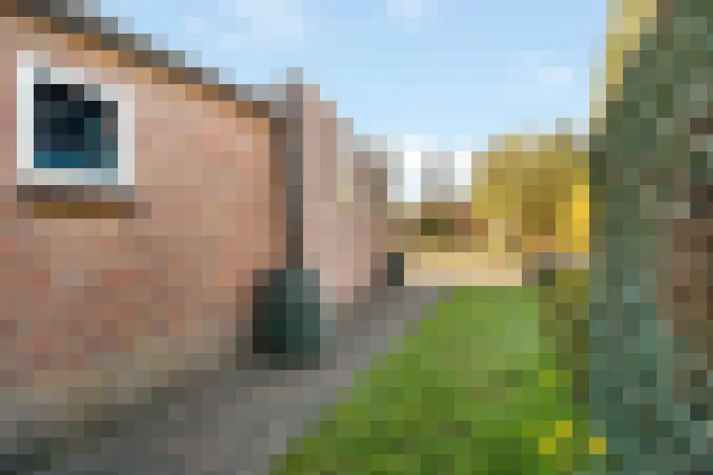 Bote van der Walstraat 11 Nijverdal thumbnail 25