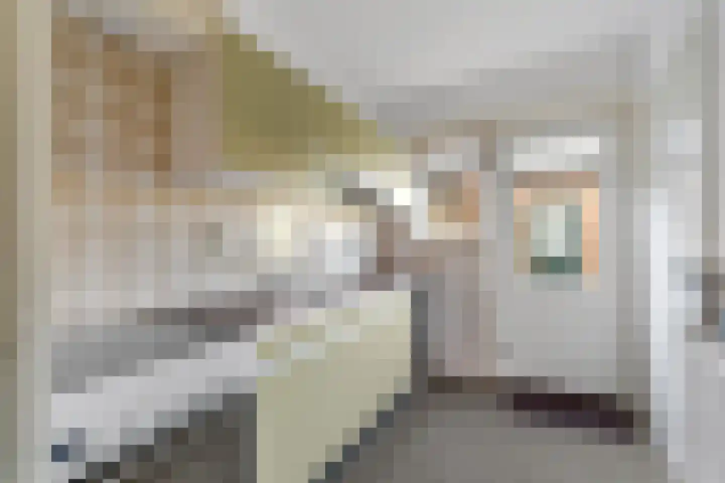 Bote van der Walstraat 11 Nijverdal thumbnail 8