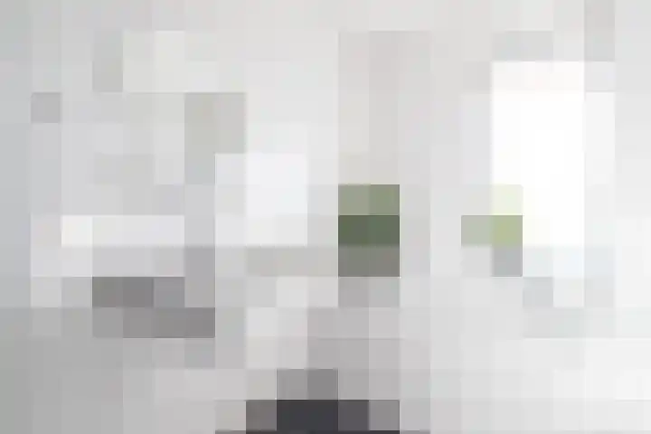Boteinstraat 5 a Zuidhorn thumbnail 35
