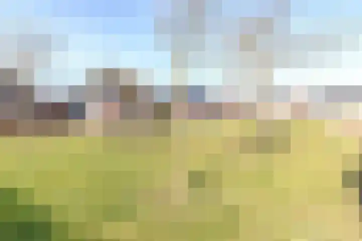 Boteinstraat 5 a Zuidhorn thumbnail 47