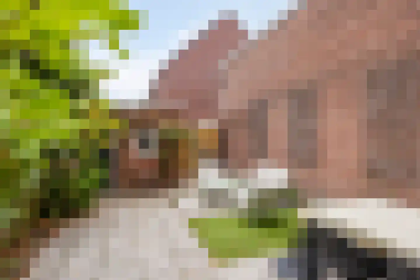 Botenlaan 44 Eindhoven thumbnail 28