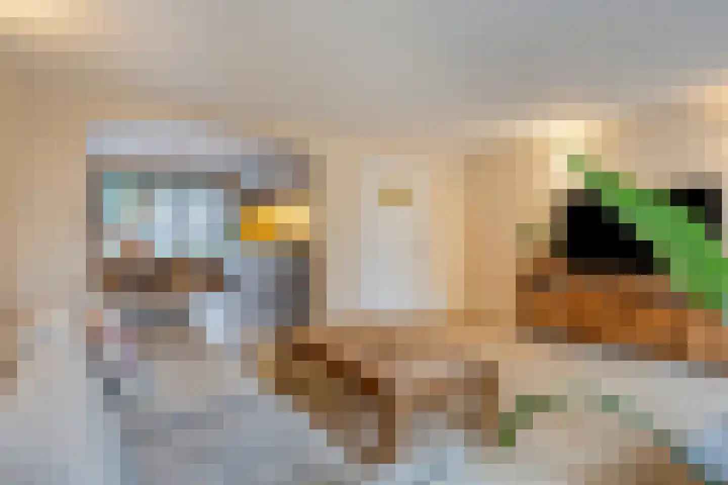 Botenlaan 44 Eindhoven thumbnail 7