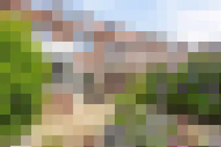 Botenlaan 64 Eindhoven thumbnail 22