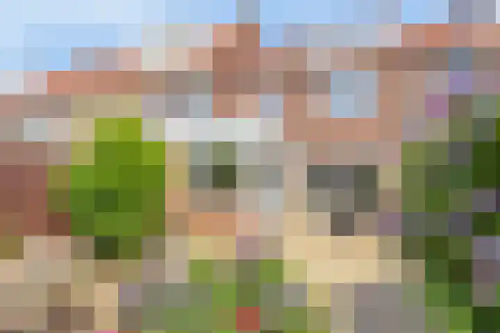 Botenlaan 64 Eindhoven thumbnail 23