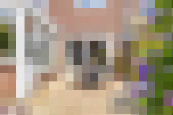 Botenlaan 64 Eindhoven thumbnail 24