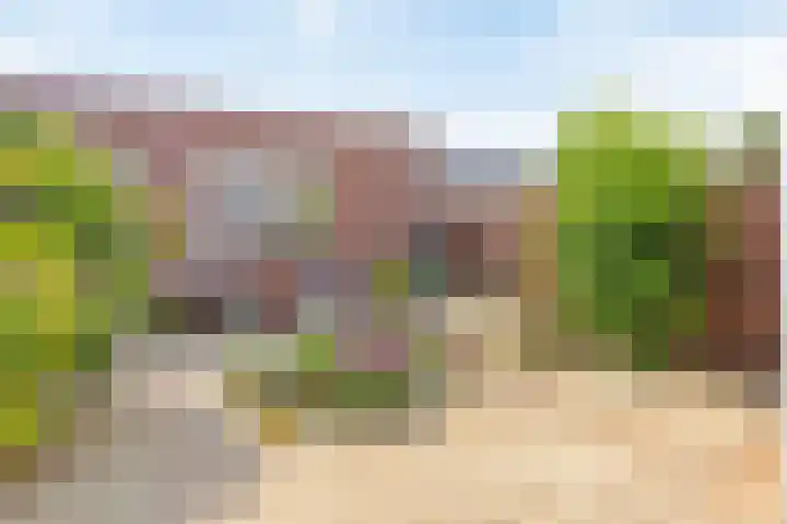 Botenlaan 64 Eindhoven thumbnail 25