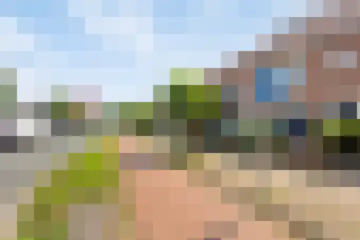 Botenlaan 64 Eindhoven thumbnail 27
