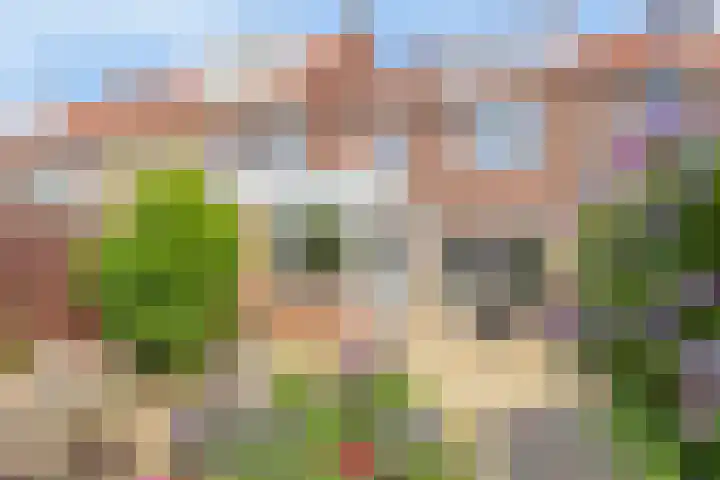 Botenlaan 64 Eindhoven thumbnail 4