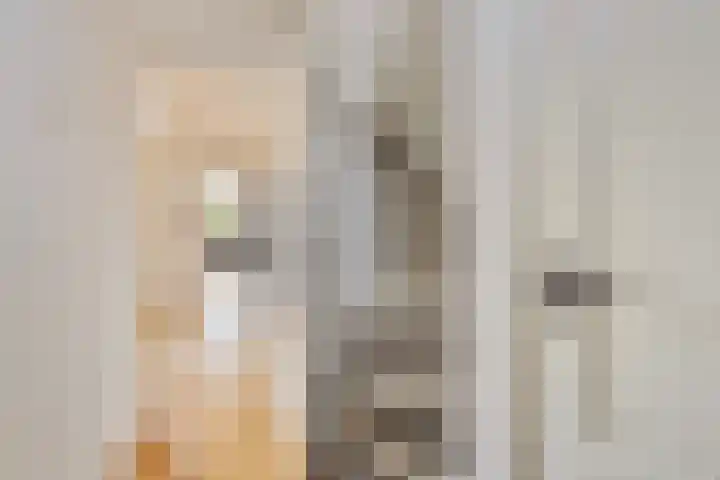 Botenlaan 64 Eindhoven thumbnail 5