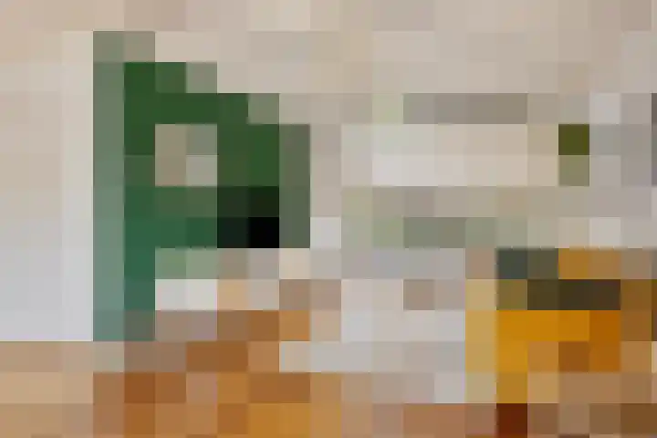 Botenlaan 64 Eindhoven thumbnail 7