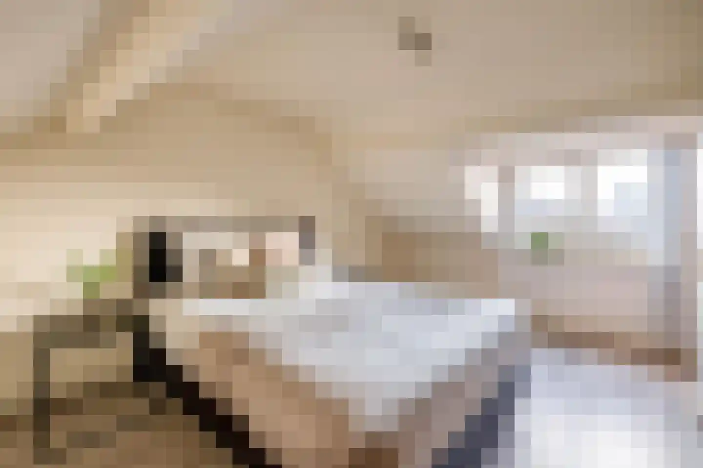 Botenlaan 76 Eindhoven thumbnail 4