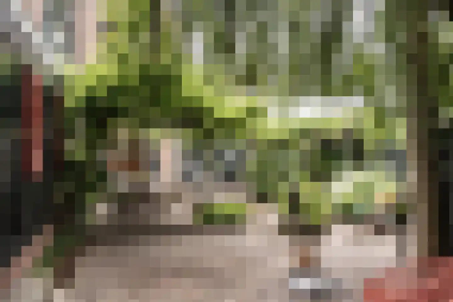 Botenmakersstraat 120 Zaandam thumbnail 46