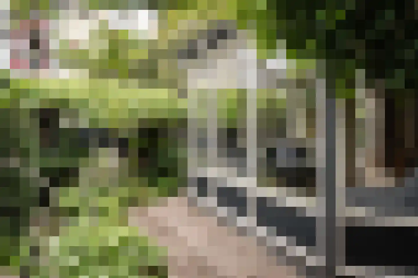 Botenmakersstraat 120 Zaandam thumbnail 50