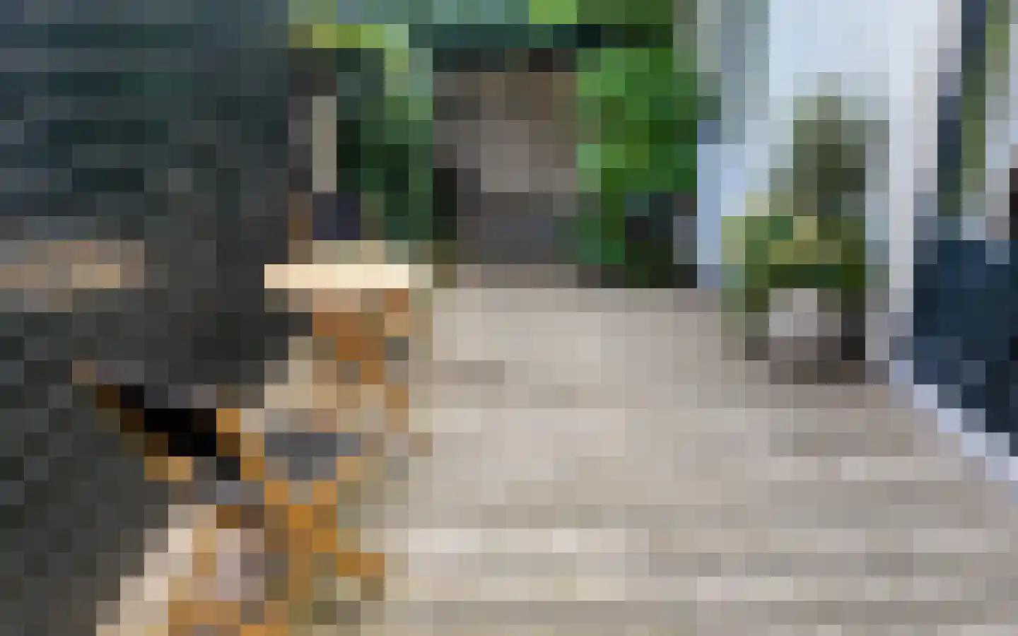 Botenmakersstraat 125 Zaandam thumbnail 14