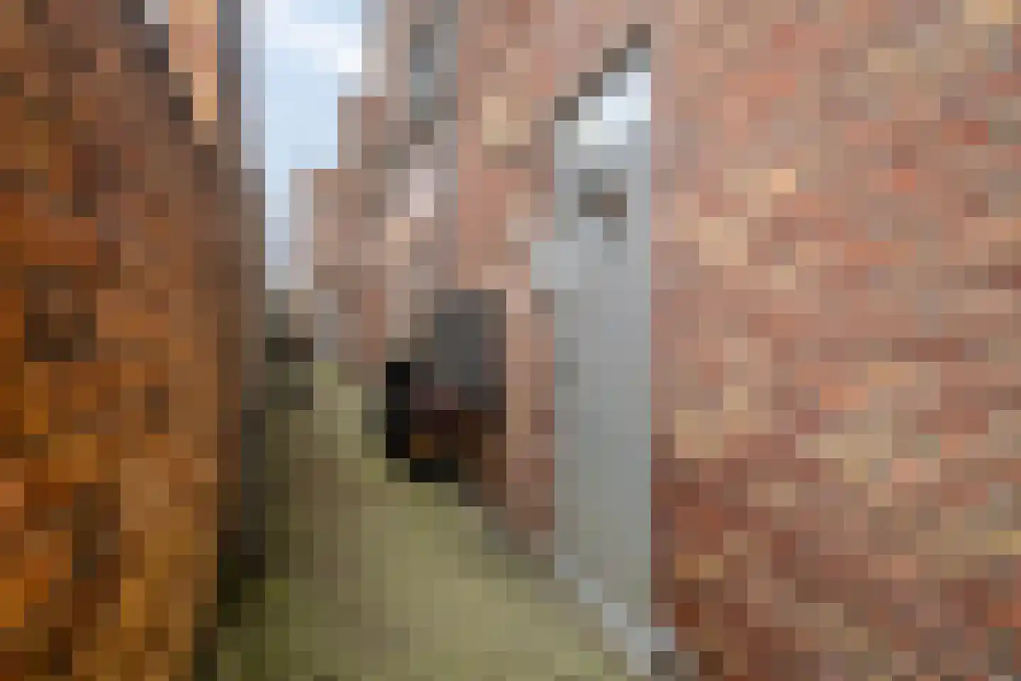 Botenmakersstraat 16 E Zaandam thumbnail 28