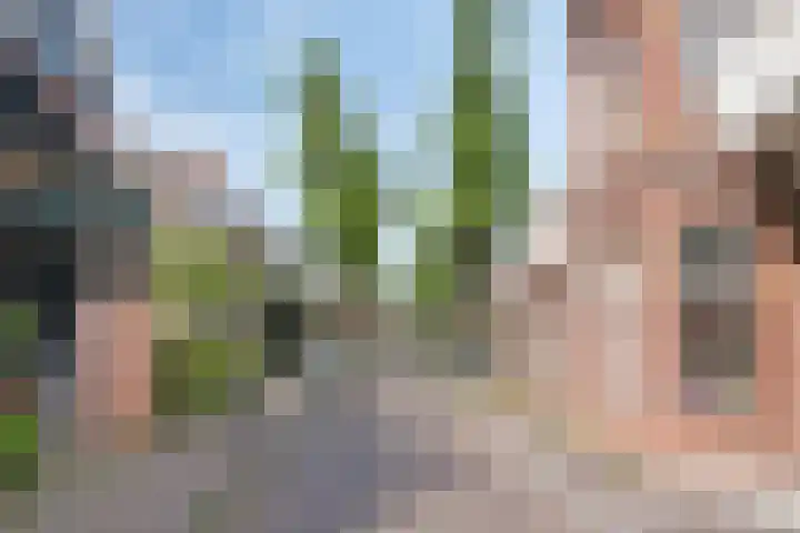 Botenmakersstraat 60 Zaandam thumbnail 32