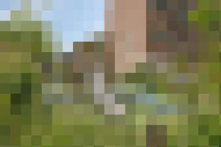 Botenmakersstraat 60 Zaandam thumbnail 33