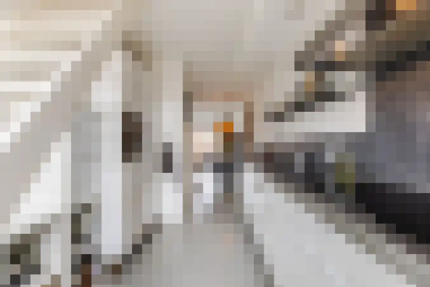 Botenmakersstraat 75 Zaandam thumbnail 22