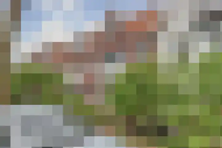 Botenmakersstraat 82 Zaandam thumbnail 43