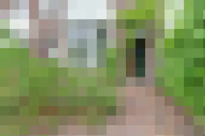 Botenmakersstraat 82 Zaandam thumbnail 6