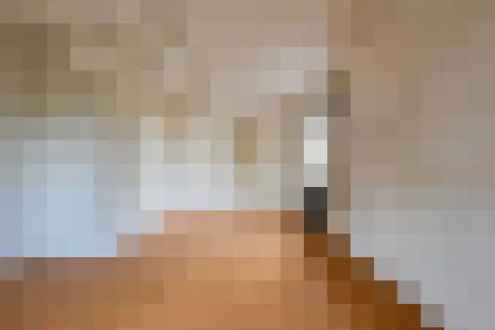 Botenmakersstraat 84 Zaandam thumbnail 37