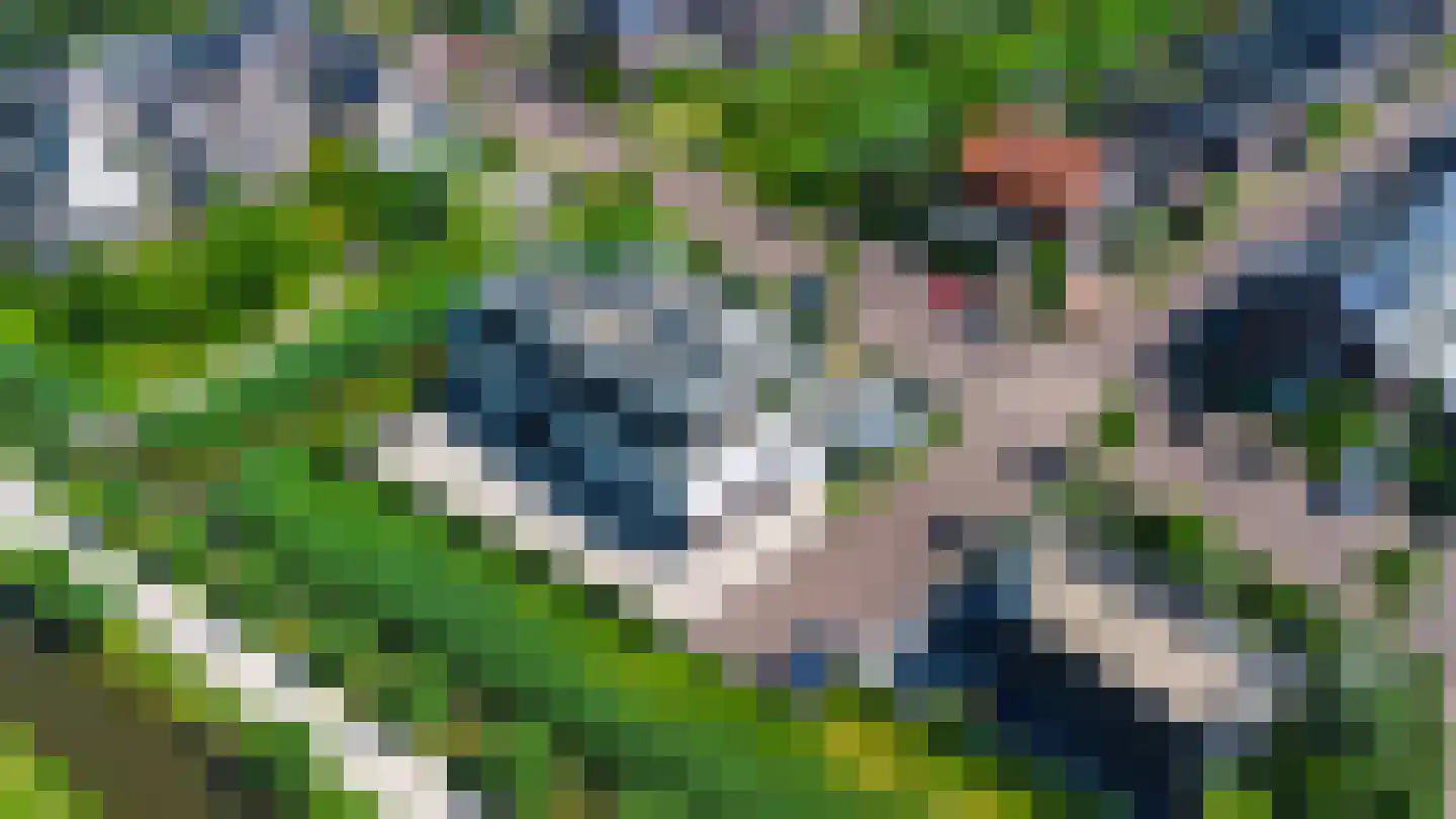 Botenwerf 35 Hardinxveld-Giessendam thumbnail 6