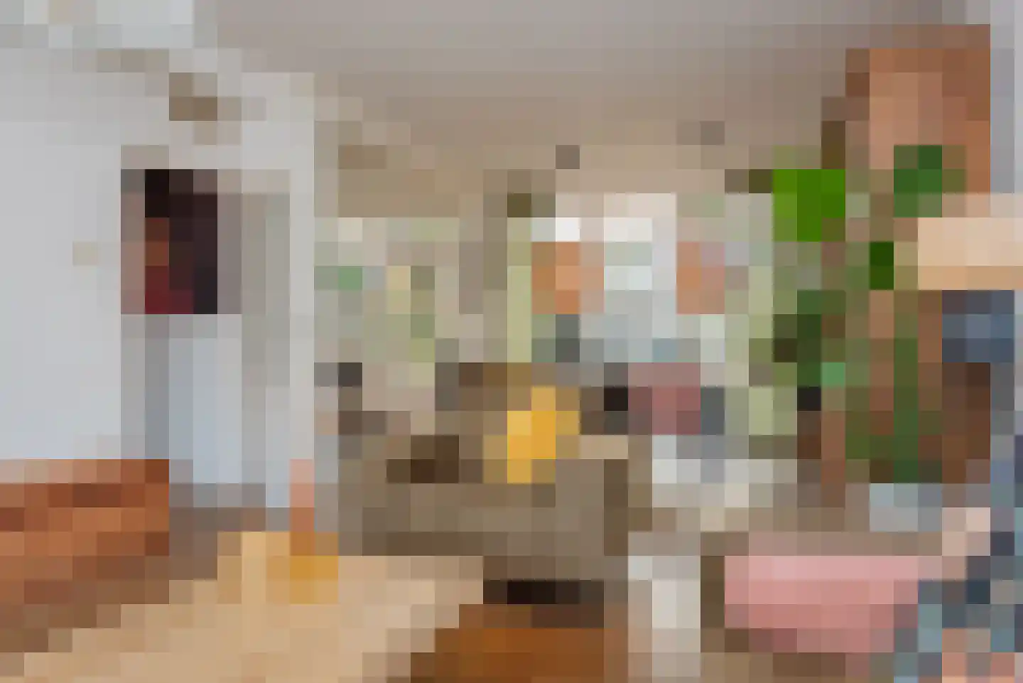 Boterakkers 15 Wezep thumbnail 11