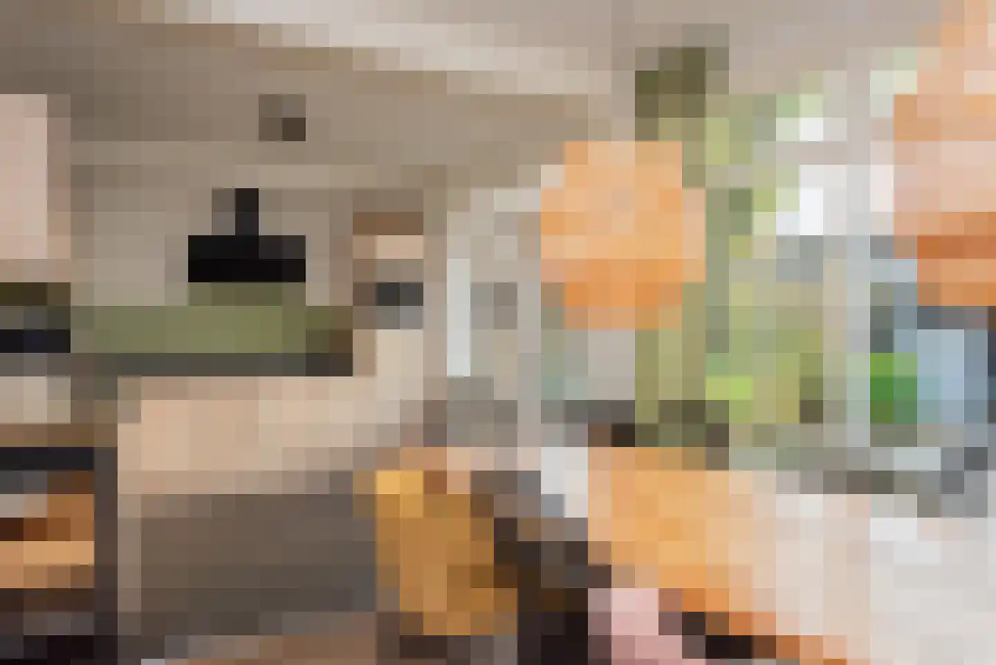 Boterakkers 15 Wezep thumbnail 14