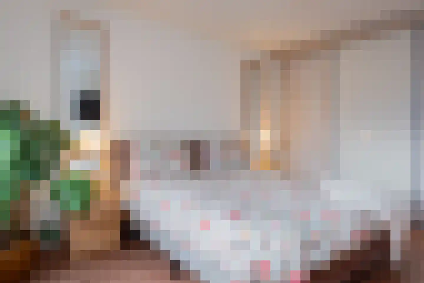 Boterakkers 15 Wezep thumbnail 27