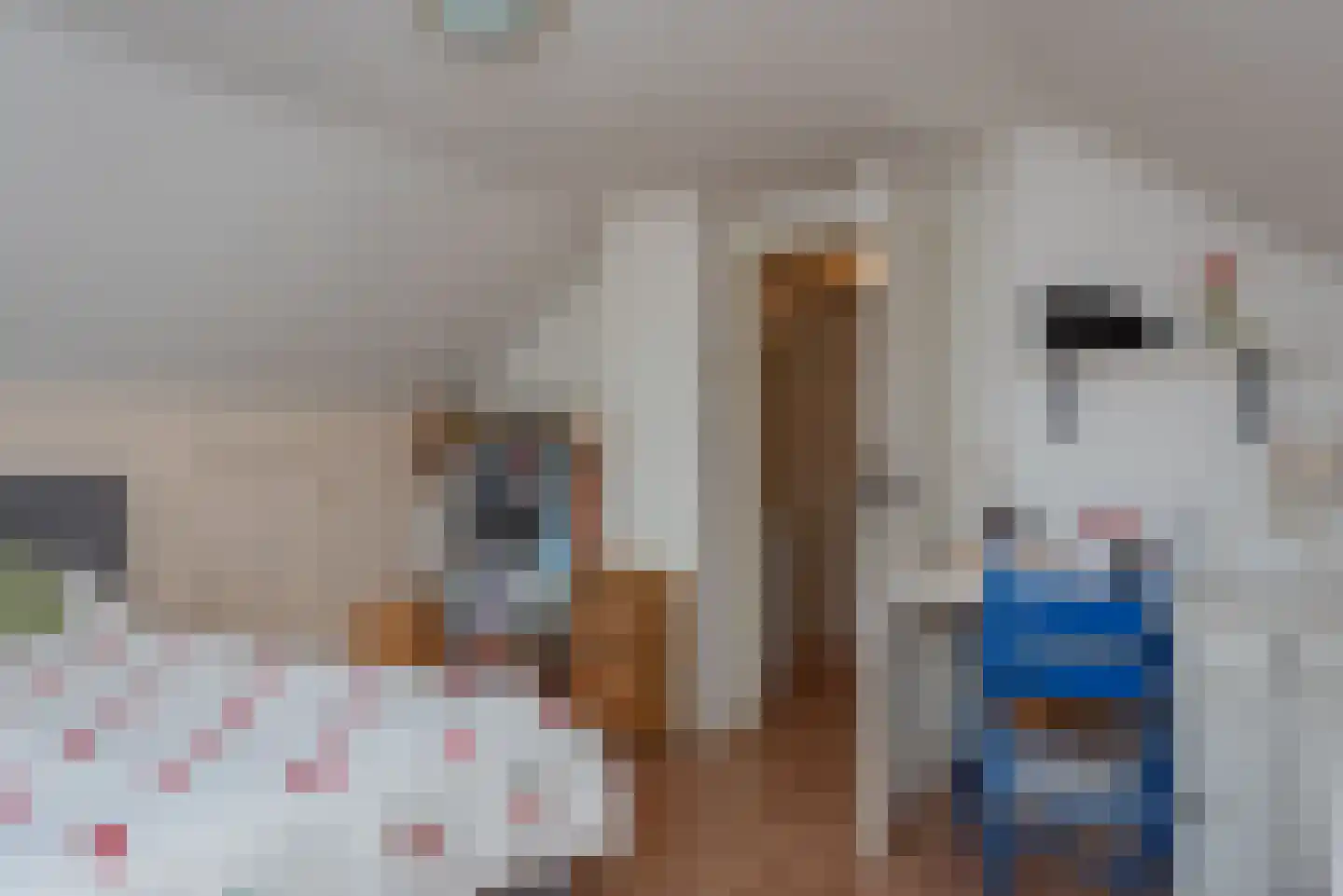 Boterakkers 15 Wezep thumbnail 40