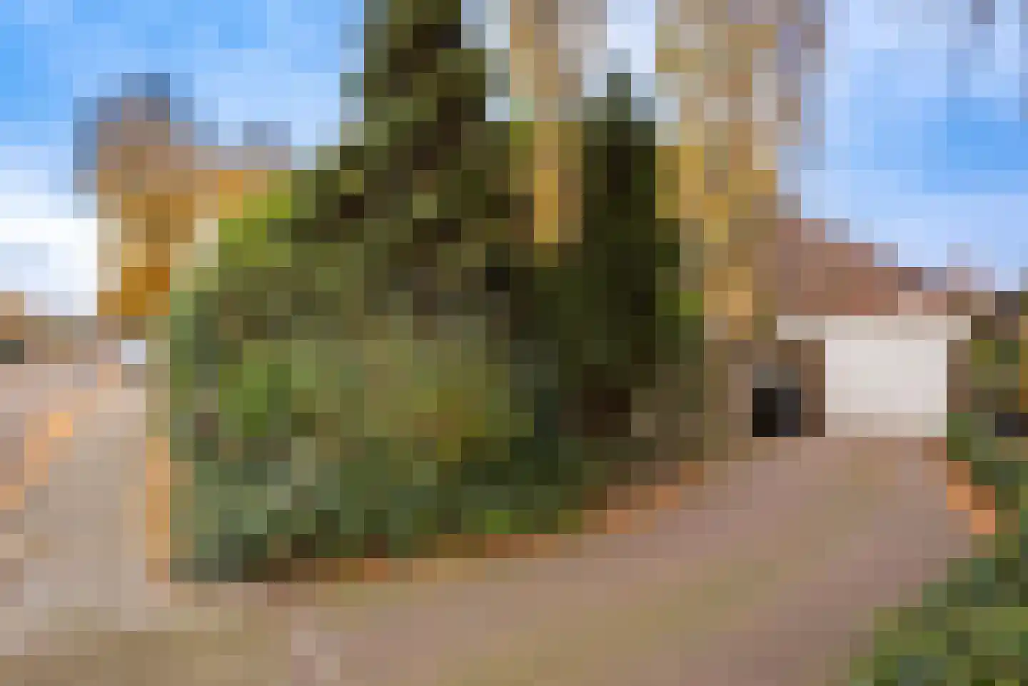 Boterakkers 15 Wezep thumbnail 43