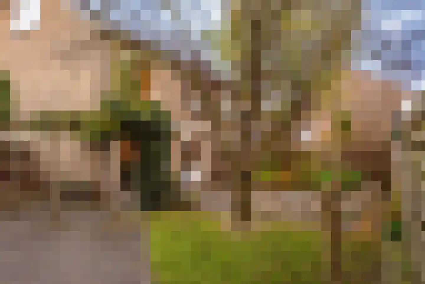 Boterakkers 15 Wezep thumbnail 44