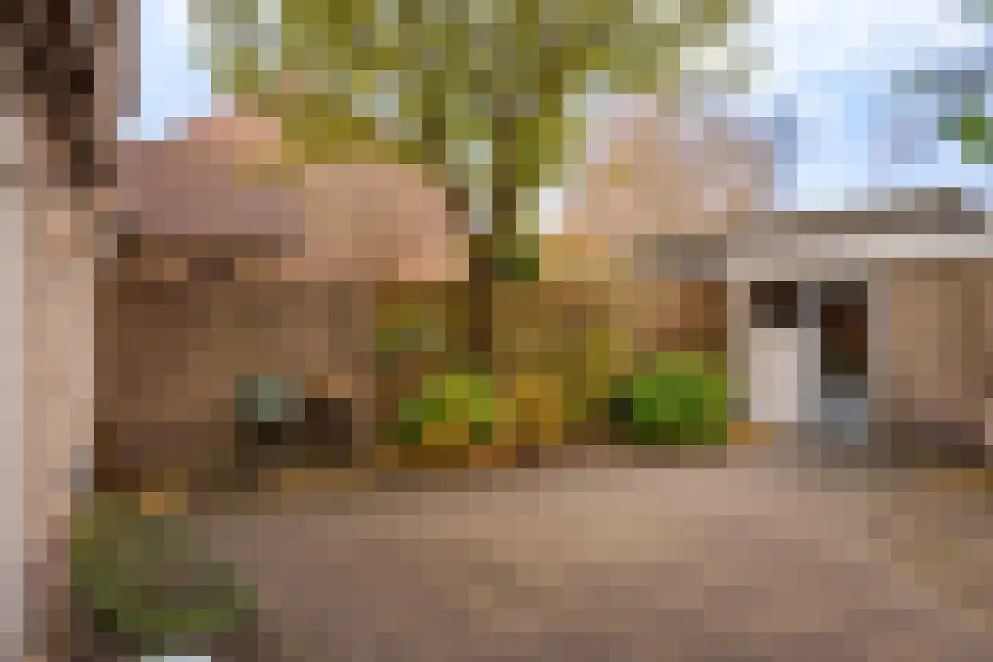 Boterakkers 15 Wezep thumbnail 47