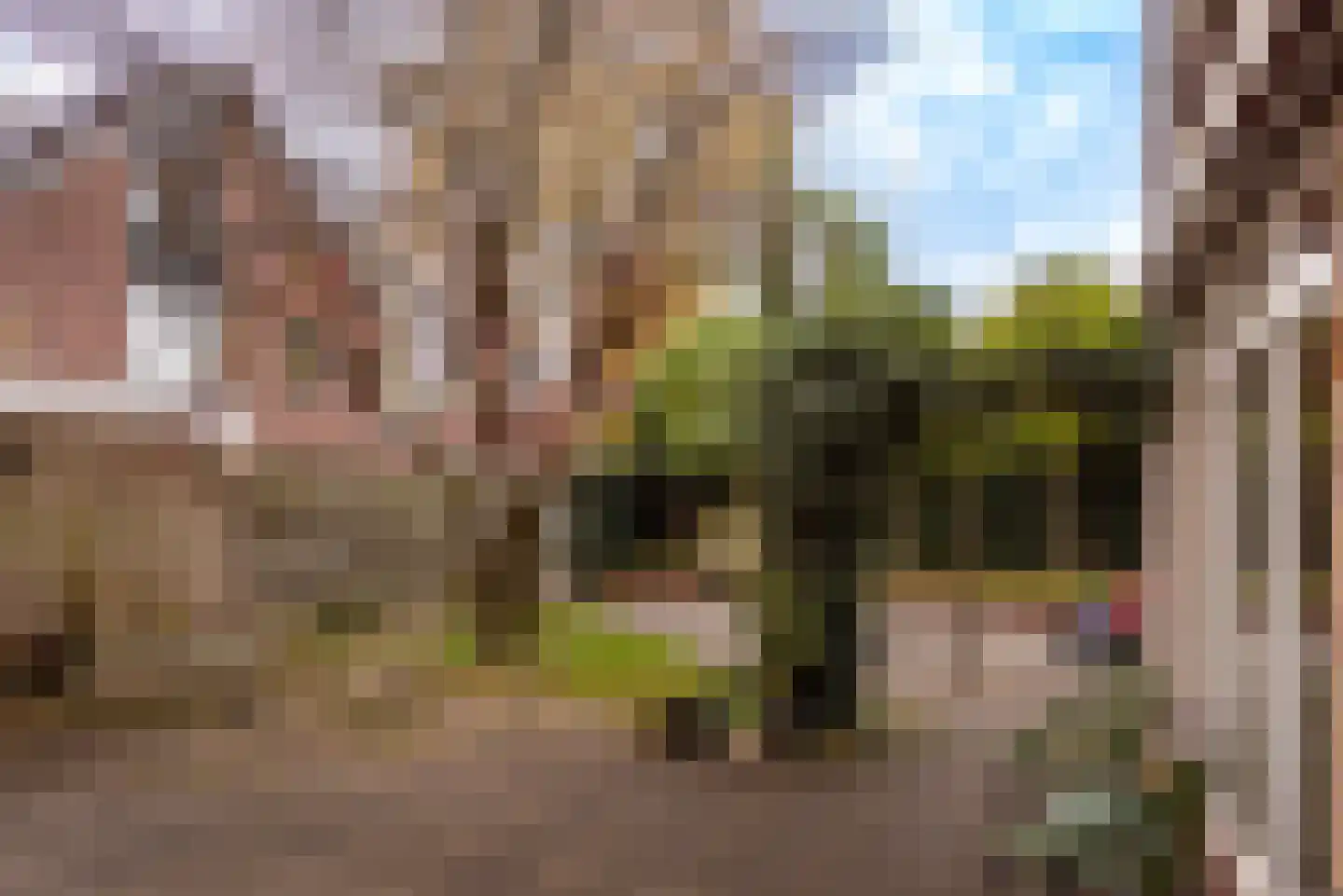 Boterakkers 15 Wezep thumbnail 48