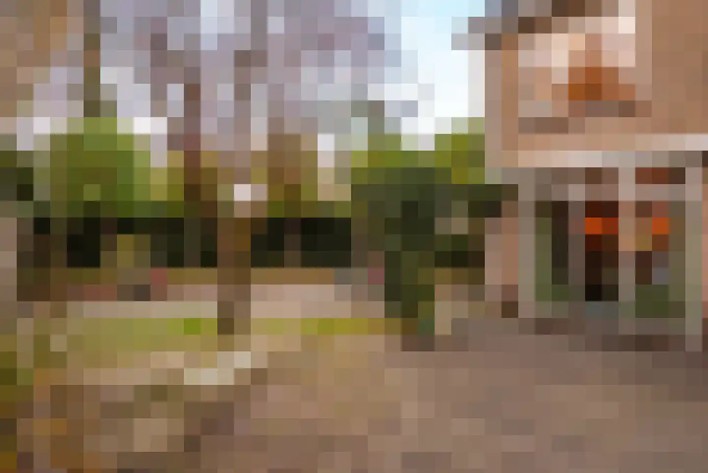 Boterakkers 15 Wezep thumbnail 49