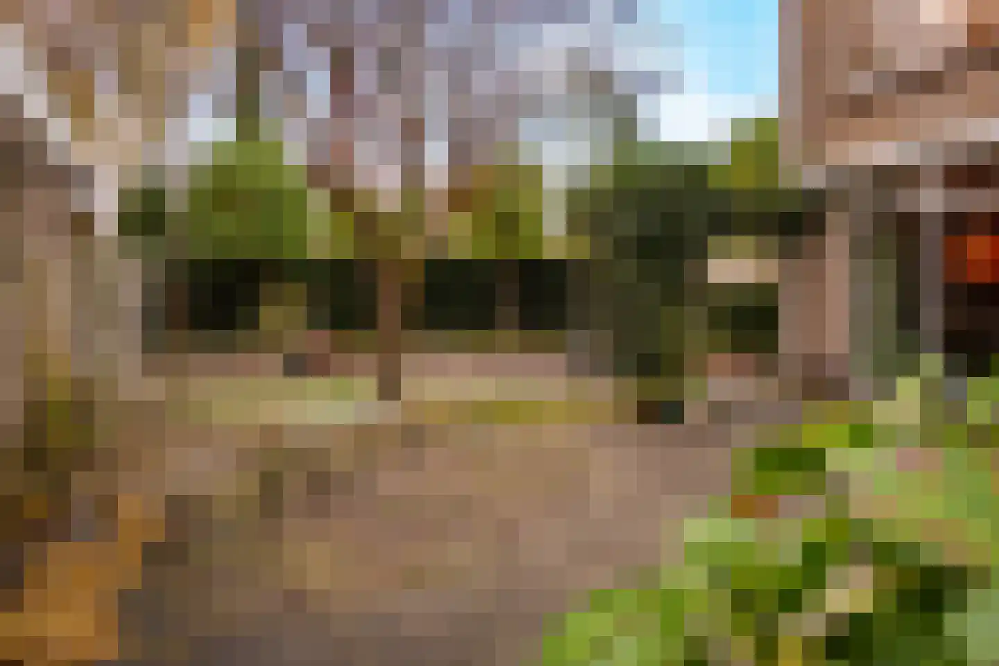 Boterakkers 15 Wezep thumbnail 51