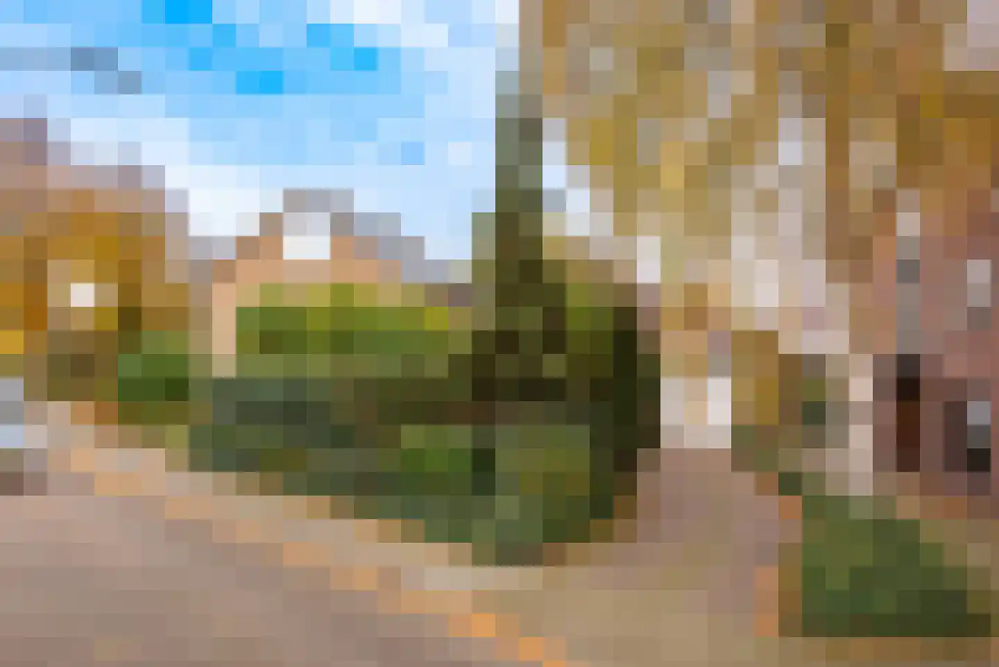 Boterakkers 15 Wezep thumbnail 52