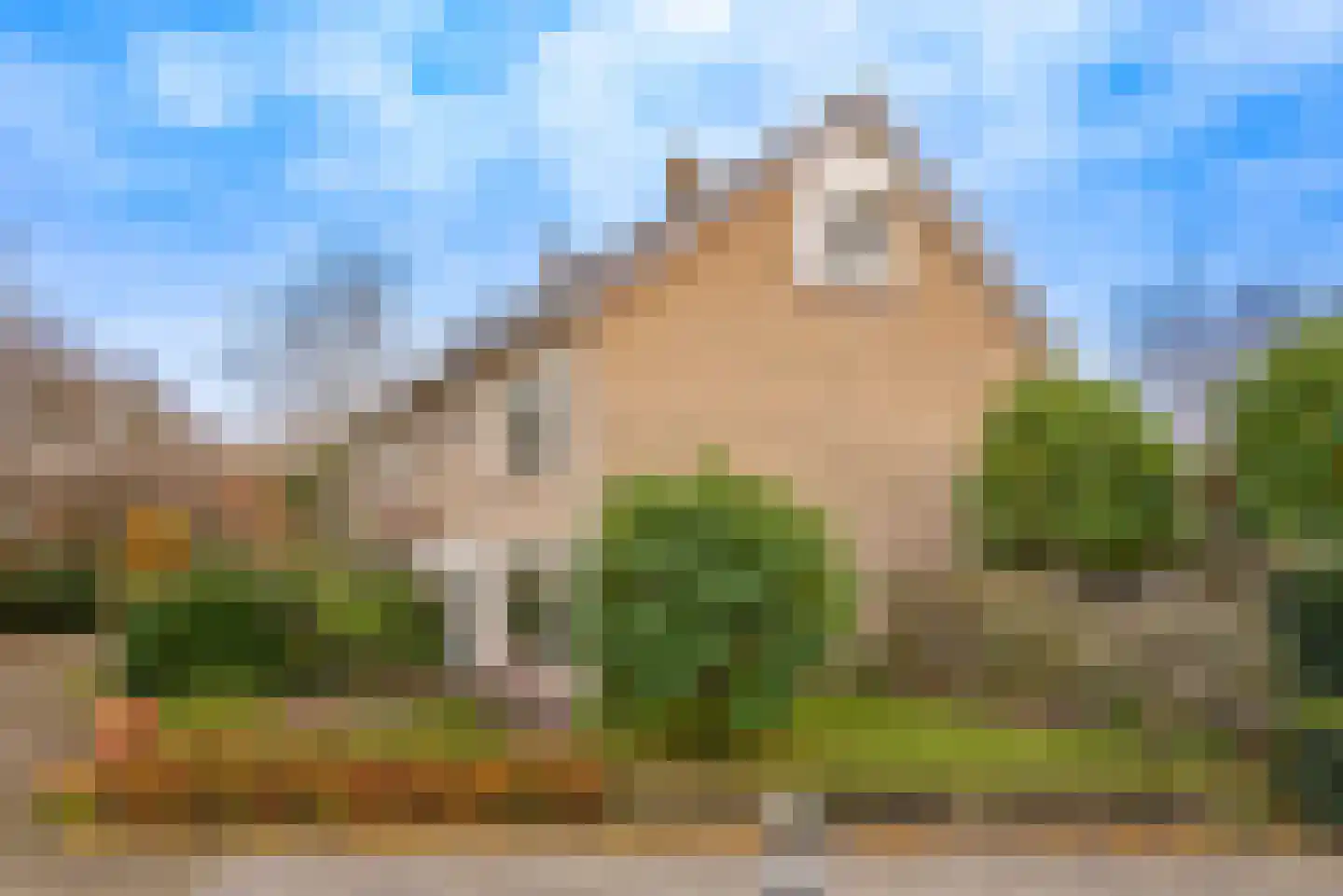 Boterakkers 15 Wezep thumbnail 53