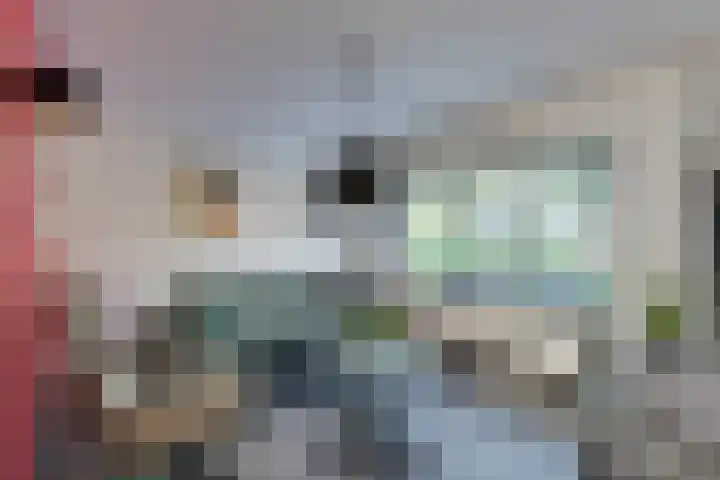 Boterbloem 1 C Purmerend thumbnail 10