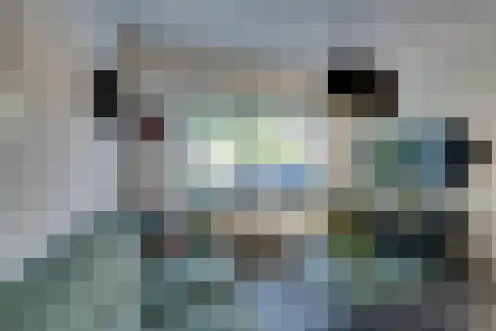 Boterbloem 1 C Purmerend thumbnail 11