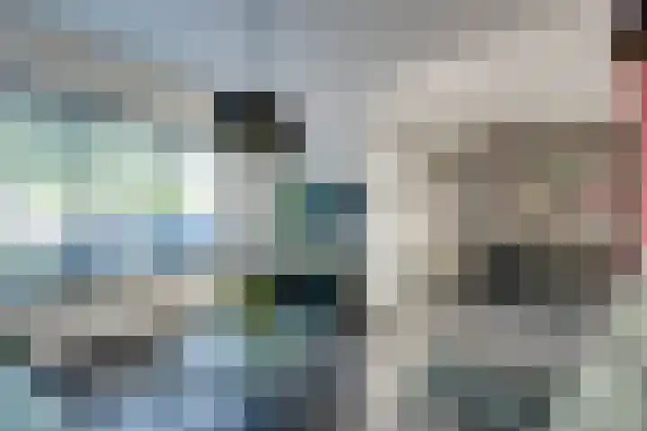 Boterbloem 1 C Purmerend thumbnail 12