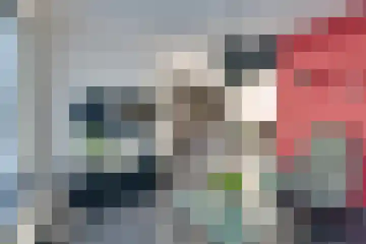 Boterbloem 1 C Purmerend thumbnail 13