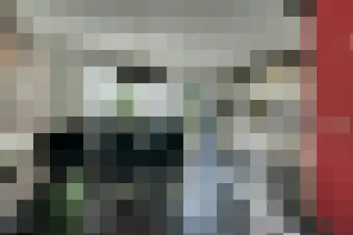Boterbloem 1 C Purmerend thumbnail 17