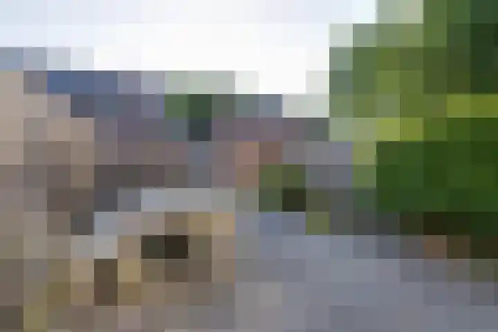 Boterbloem 1 C Purmerend thumbnail 25