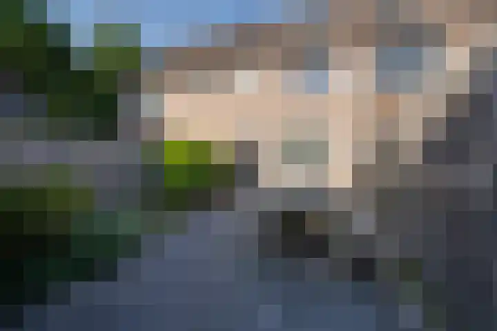 Boterbloem 1 C Purmerend thumbnail 26