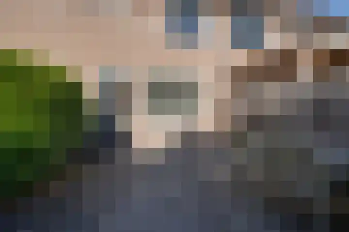 Boterbloem 1 C Purmerend thumbnail 27