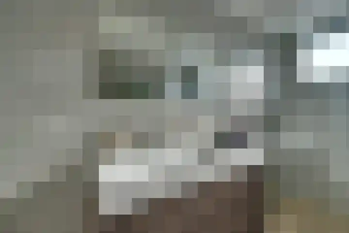 Boterbloem 1 C Purmerend thumbnail 36