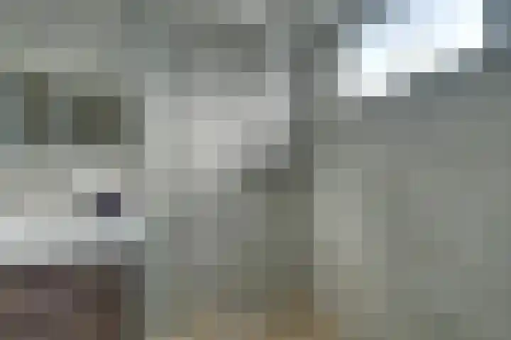 Boterbloem 1 C Purmerend thumbnail 38